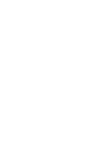 logo-white